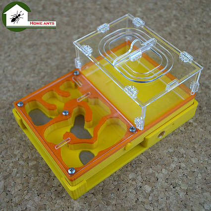 Мурашина ферма "Мрія новачка" Жовто-помаранчевий