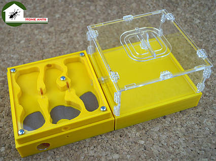 Мурашина ферма "Лего СТАРТ"