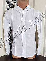 Однотонная рубашка для мальчика 116-146 см(опт) (белая) (пр. Турция)