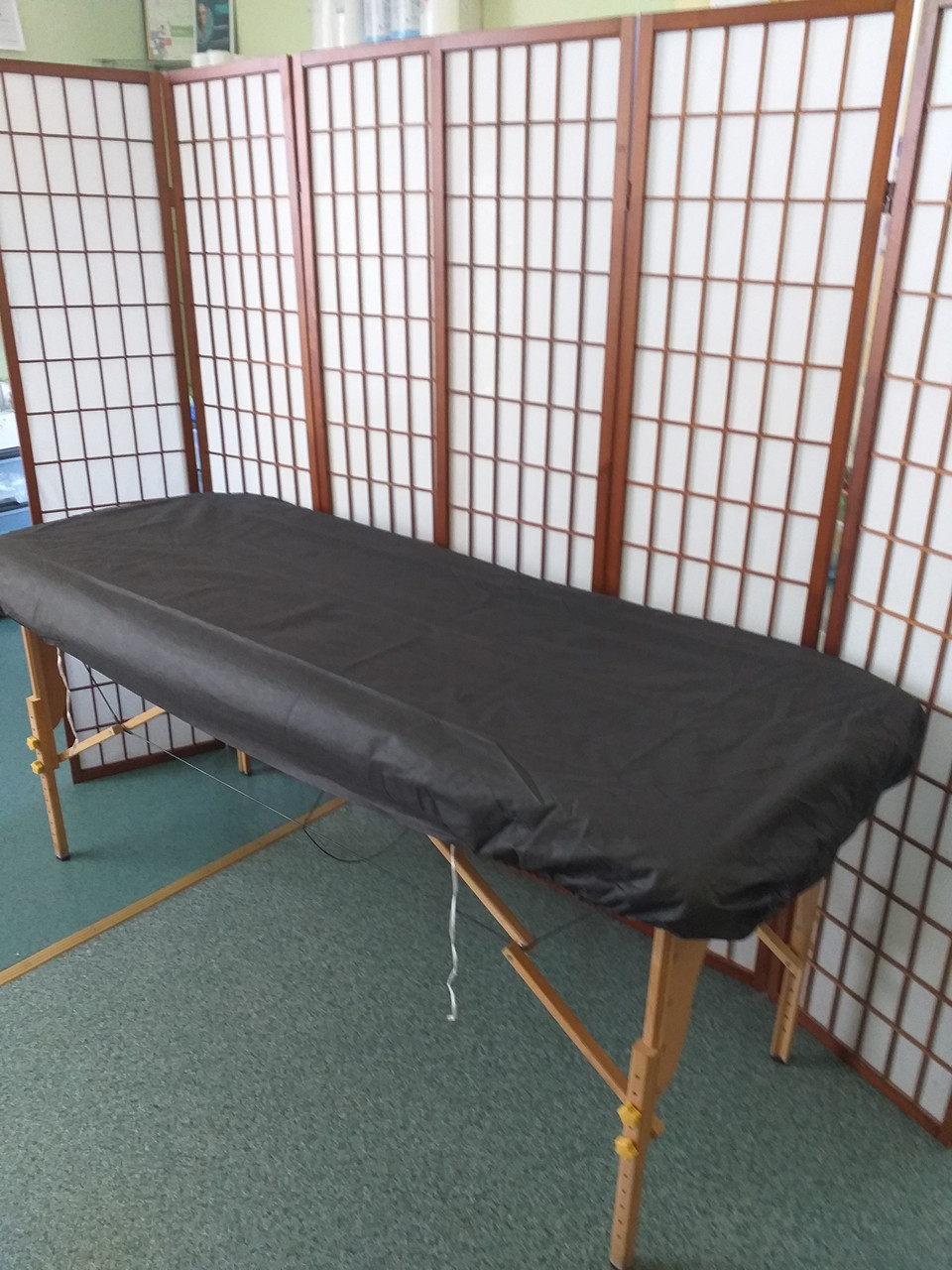 Чохол на кушетку 0,8х2,1 м (1 шт/пач) зі спанбонду у кольорах