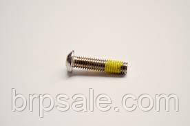 Гвинт з круглою головкою M6X25 Torx Sea-Doo BRP Screw-torx button head M6X25