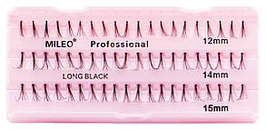 Вії пучки Mileo асорті