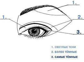 Як правильно наносити тіні