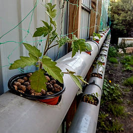 2018 Помидоры и огурцы в DFT системе гидропоники 7