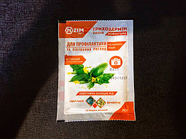 2018 Помидоры и огурцы в DFT системе гидропоники 11