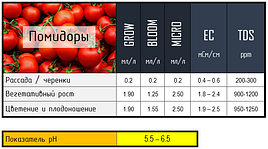 2018 Помидоры и огурцы в DFT системе гидропоники 29