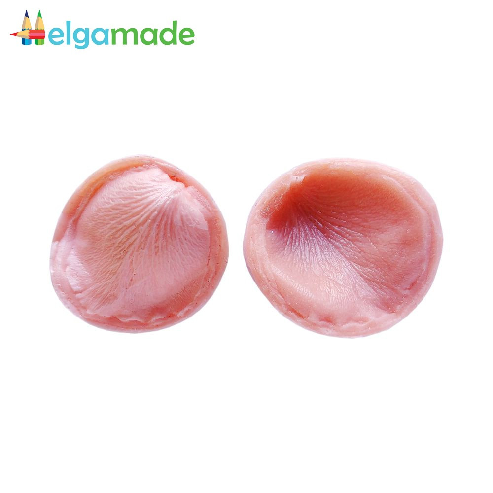 Молд + вайнер ПЕЛЮСТКА ТРОЯНДИ кущової M, 4.3х4.3 см, фото 1