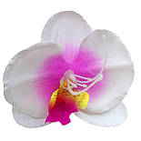 Головка орхідеї 8 см (30 шт в уп), фото 2