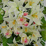 Човен троянда з лілією з росою 130 см, фото 3