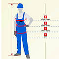 Розмірна сітка робочого одягу