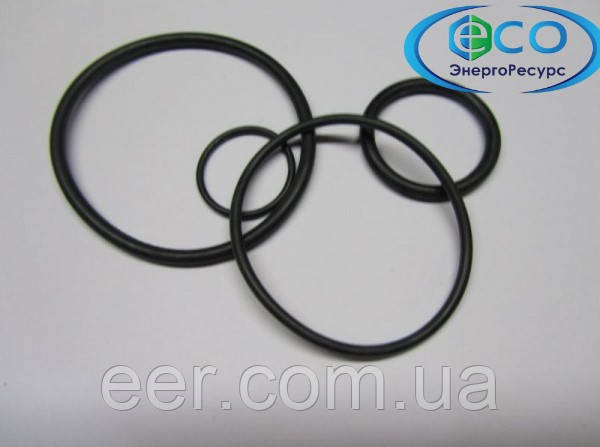O-ring 019, фото 1