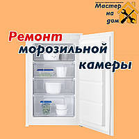 Ремонт морозильной камеры в Одессе