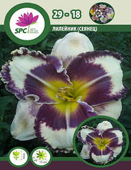 Лійник сінець 29-18