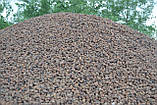 Керамзит Харківський фр. 10-20, фото 2
