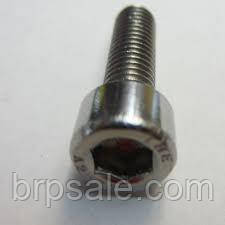 Болт с внутренним шестигранником M6x20 Sea-Doo Ski-Doo BRP SCREW-SOCKET HD.DIN.912A2