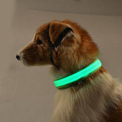 Нашийник LED світний вузький для невеликих собак і кішок 0.5 м