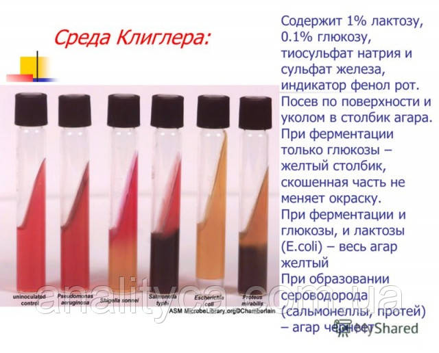 Агар Клиглера