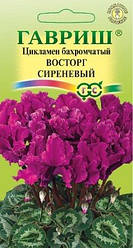 Насіння Цикламен перський бахромчастий Застг Бузковий 3 сім.  Гавріш