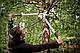 Гілкоріз Quantum™ площинний від Fiskars (L) L108 (112630)1001435, фото 4