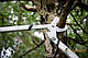 Гілкоріз Quantum™ площинний від Fiskars (L) L108 (112630)1001435, фото 5