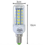 Світлодіодна лампа 36 LED-модуля, потужність 12 W, цоколь Е14, 220 В, форма "кукурудза", холодний білий , фото 3