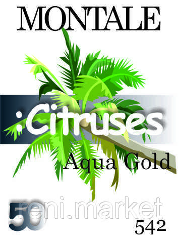 Парфуми 50 мл (542) версія аромату Монталу Aqua Gold, фото 1
