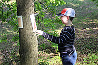 Організація квесту на природі. Вартість у Києві від Склянка мрій