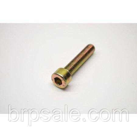 Гвинт з внутрішнім шестигранником M8X40 BRP Can-Am Sea-doo Ski-Doo SCREW-ALLEN M8 X 40