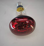 Лампа рефлекторна General Electric 40R50/R/E14-червона (Угорщина), фото 2