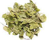 Борова матка / Ортилія, 500г., фото 2