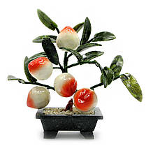Дерево персик (5 плодів) (23х24х13 см) (A02)