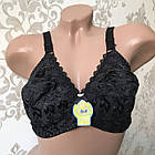 Жіночі бюстгальтери №3081 D Колосок, фото 7