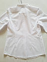 Блузка сорочка дитяча шкільна мевис 2405 Mevis Розміри 122 140, фото 3