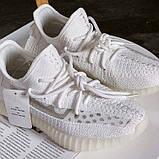 Жіночі кросівки Adidas Yeezy Boost 350 White, фото 3