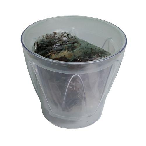 Набір для пересадки орхідеї Аркада 164 + субстрат прозорий