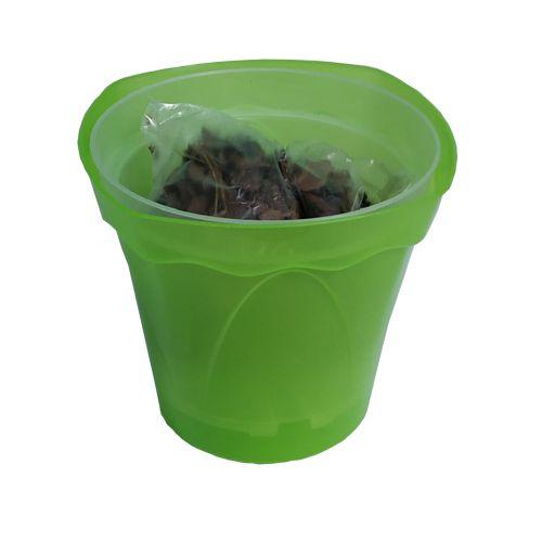 Набір для пересадки орхідеї Магнолія + субстракт салатовий