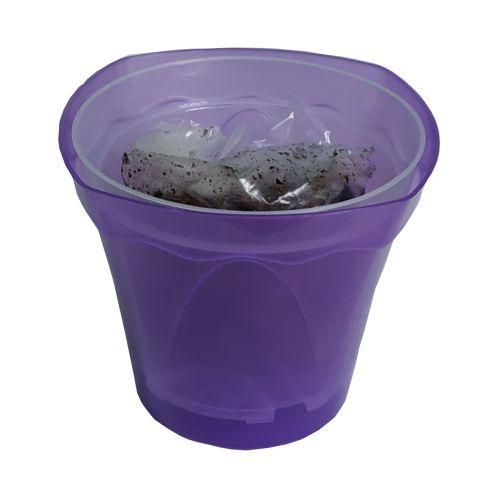 Набір для пересадки орхідеї Магнолія + субстракт фіолетовий, фото 1