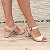 Босоніжки шкіряні жіночі на широкому стійкому підборі, колір пудра, фото 4