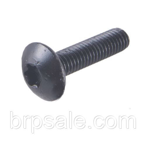Гвинт M6X20 Can-Am Ski-Doo BRP Screw-forming SCREW-FORMING HEX.HD.FL.GM6174