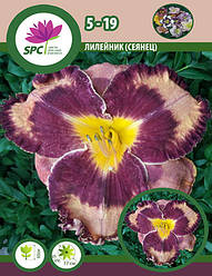 Лійник сінець 5-19