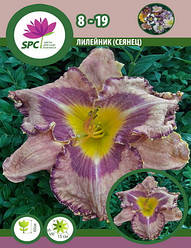 Лійник сінець 8-19