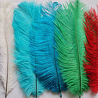 Мода на натуральные перья страуса