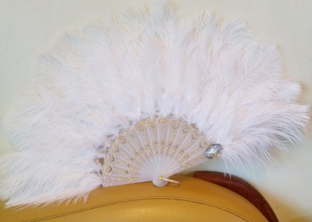 веер из перьев страуса