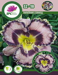 Лійник сінець 32-18