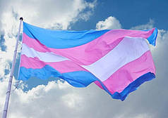 Прапор Трансгендерів Прапорна сітка, 1,5х1 м, Кишеня під держак