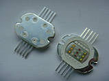 LED діод 25w, 30w RGBWA 350mA для ProLux MATRIX BAR 6, FREECOLOR BLC 2530 Artist Led Bar 6x25, фото 3