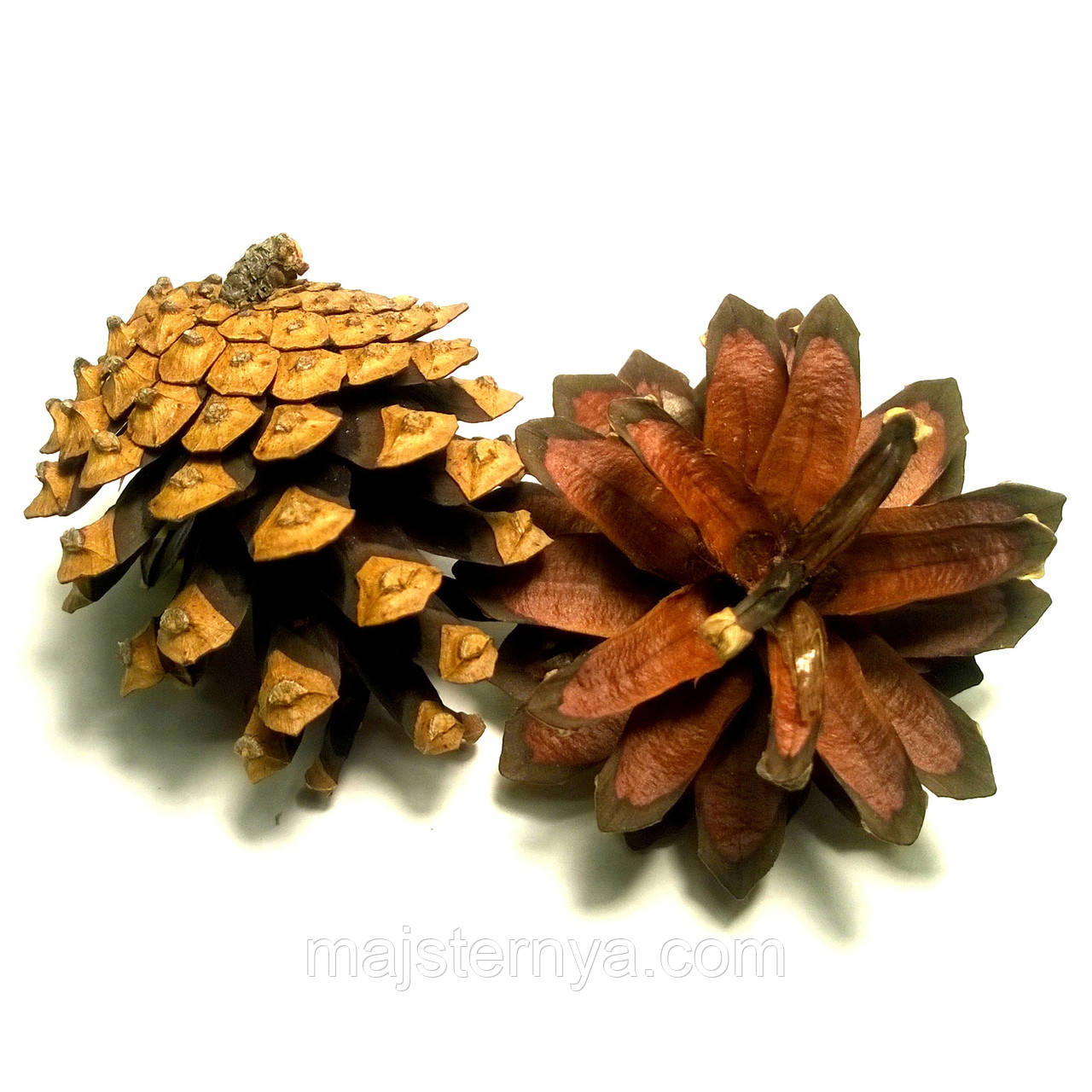 Шишки натуральні соснові (6шт в упаковці), фото 1