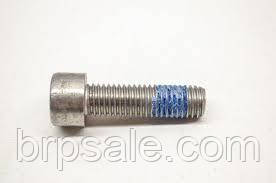 Гвинт з циліндричною голівкою M8 X 30 Sea-Doo BRP SCREW SOCKET 912A2, фото 1
