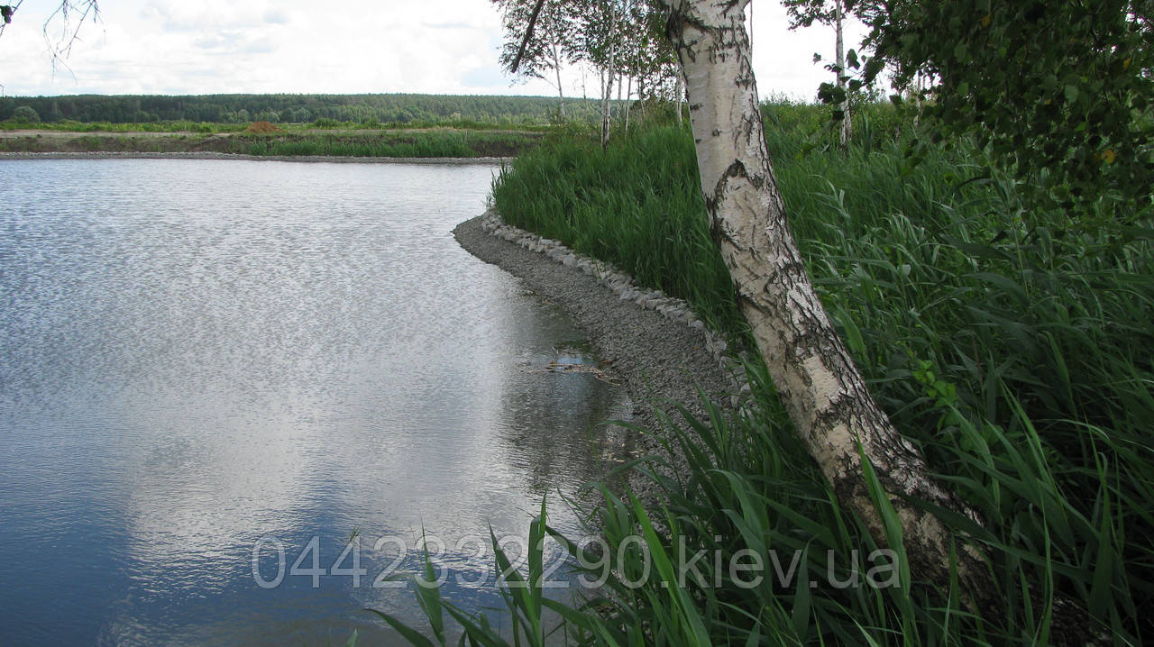 Чищення озер у Київській зоні