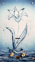 Газова колонка Rocterm ВПГ-10 АЕ 004 (з малюнком Blue flower)